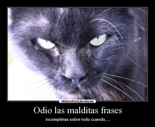 Odio las malditas frases -