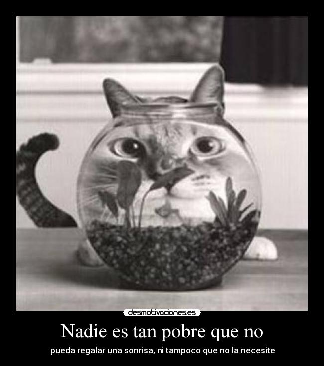 Nadie es tan pobre que no -