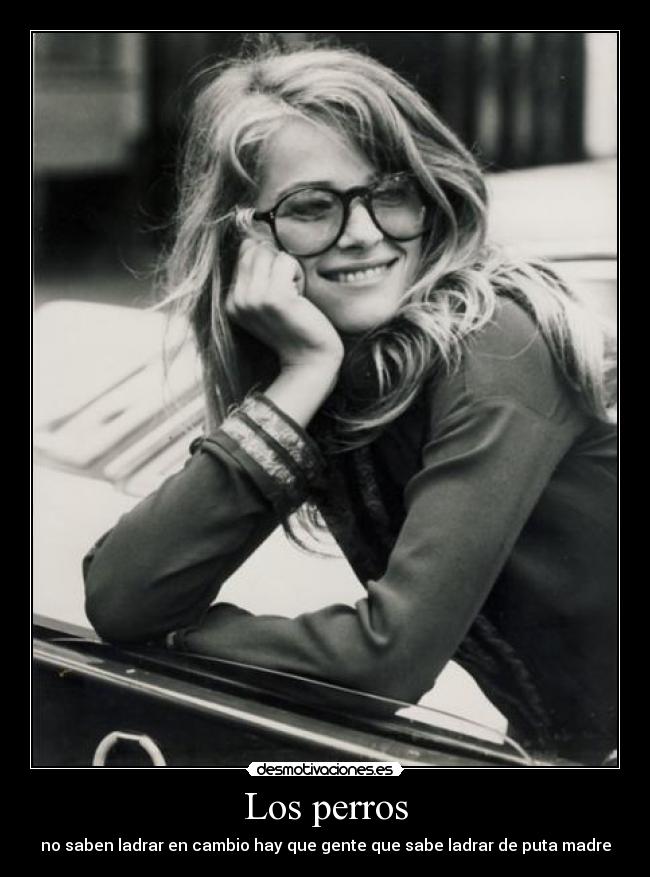 Los perros -