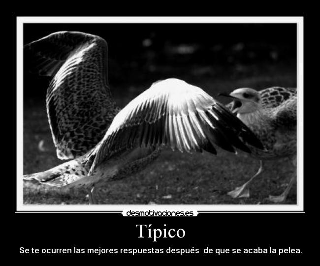 Típico - Se te ocurren las mejores respuestas después de que se acaba la pelea.