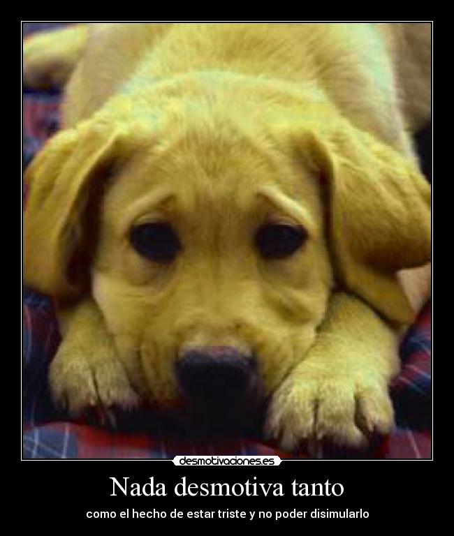 Nada desmotiva tanto - como el hecho de estar triste y no poder disimularlo