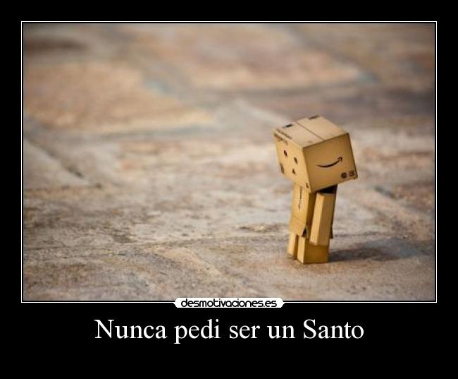 Nunca pedi ser un Santo -