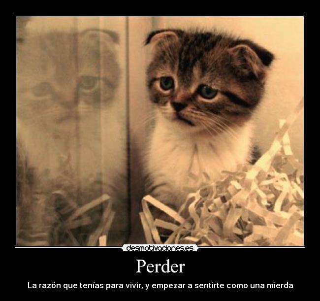 Perder - La razón que tenías para vivir, y empezar a sentirte como una mierda