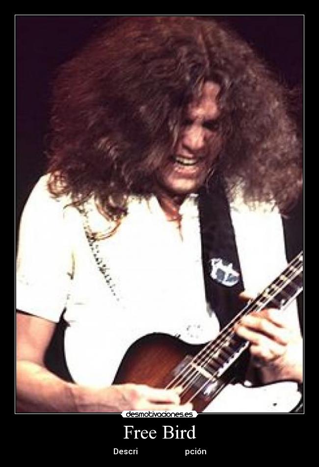 Free Bird - Descri pción