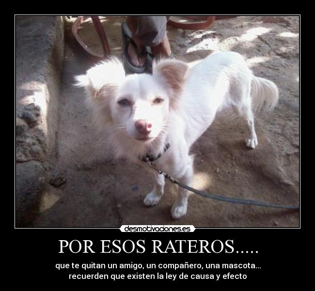 POR ESOS RATEROS..... - 