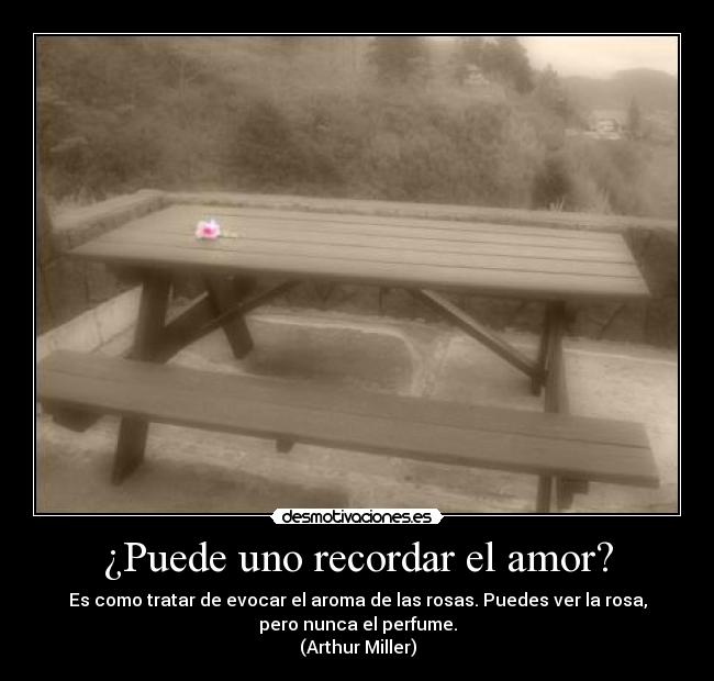 carteles amor amor desmotivaciones