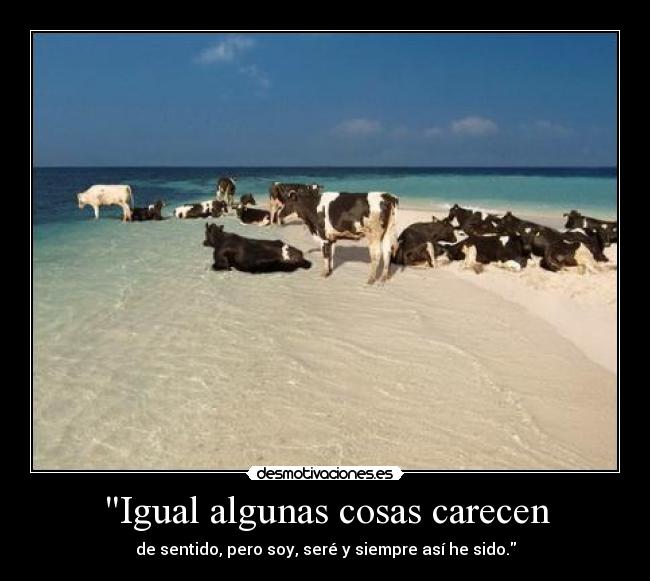 carteles vacas playa porque ellas tambien tienen derecho disfrutar unas vaciones cowsfree desmotivaciones