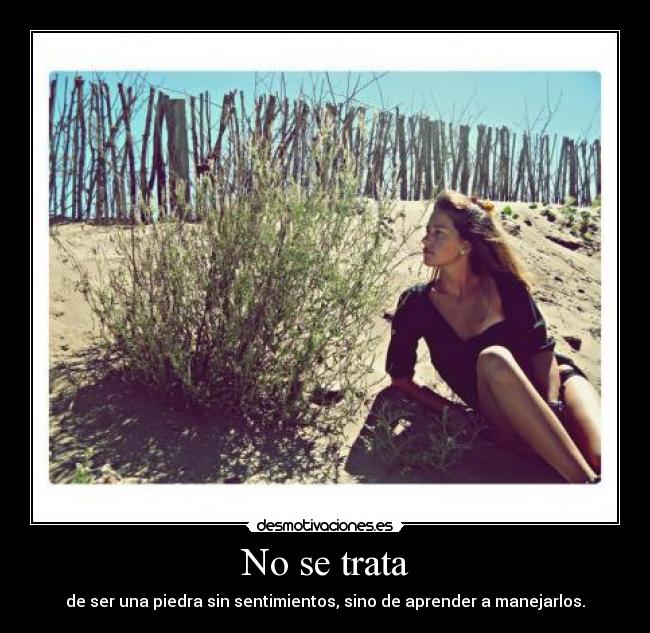 No se trata - de ser una piedra sin sentimientos, sino de aprender a manejarlos.