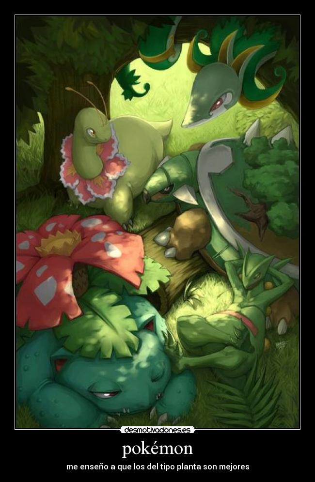 pokémon -