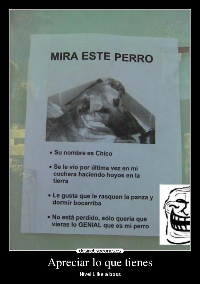 Apreciar lo que tienes -