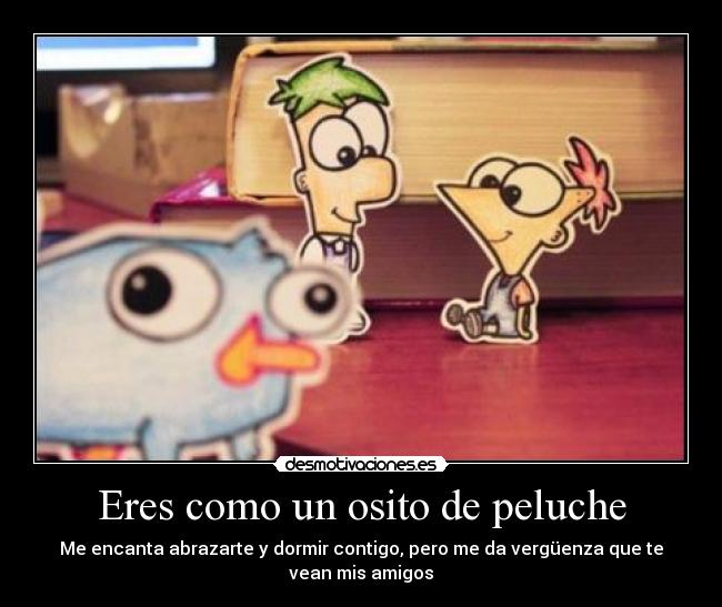 Eres como un osito de peluche -