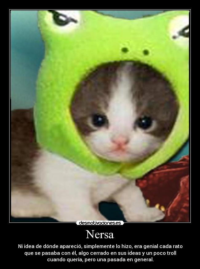 Nersa - Ni idea de dónde apareció, simplemente lo hizo, era genial cada rato
que se pasaba con él, algo cerrado en sus ideas y un poco troll
cuando quería, pero una pasada en general.