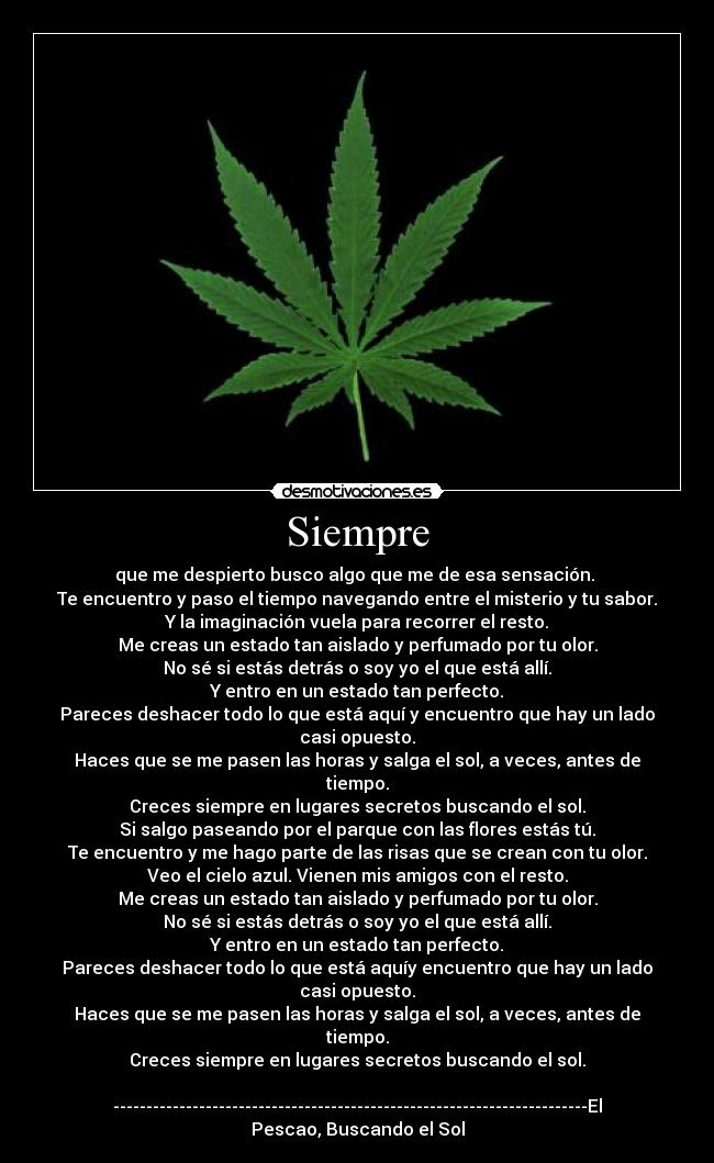 Siempre - que me despierto busco algo que me de esa sensación. 
Te encuentro y paso el tiempo navegando entre el misterio y tu sabor.
Y la imaginación vuela para recorrer el resto.
Me creas un estado tan aislado y perfumado por tu olor.
No sé si estás detrás o soy yo el que está allí.
Y entro en un estado tan perfecto.
Pareces deshacer todo lo que está aquí y encuentro que hay un lado casi opuesto.
Haces que se me pasen las horas y salga el sol, a veces, antes de tiempo.
Creces siempre en lugares secretos buscando el sol.
Si salgo paseando por el parque con las flores estás tú.
Te encuentro y me hago parte de las risas que se crean con tu olor.
Veo el cielo azul. Vienen mis amigos con el resto.
Me creas un estado tan aislado y perfumado por tu olor.
No sé si estás detrás o soy yo el que está allí.
Y entro en un estado tan perfecto.
Pareces deshacer todo lo que está aquíy encuentro que hay un lado casi opuesto.
Haces que se me pasen las horas y salga el sol, a veces, antes de tiempo.
Creces siempre en lugares secretos buscando el sol.

------------------------------------------------------------------------El Pescao, Buscando el Sol