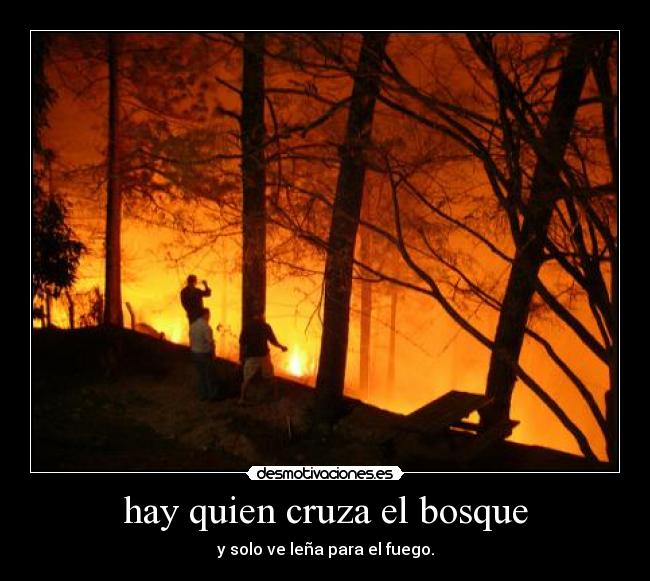 hay quien cruza el bosque -
