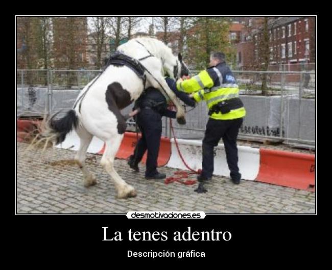 carteles tenes adentro descripcion grafica arre hola caballo policia milico inside desmotivaciones