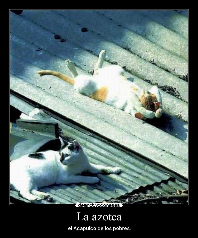 La azotea - el Acapulco de los pobres.
