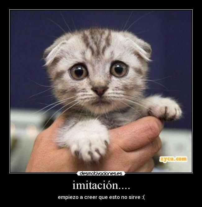 imitación.... - 