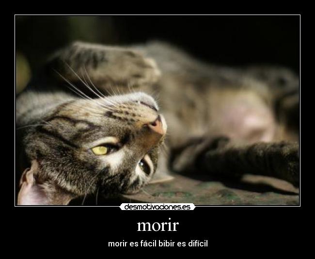 morir - morir es fácil bibir es difícil