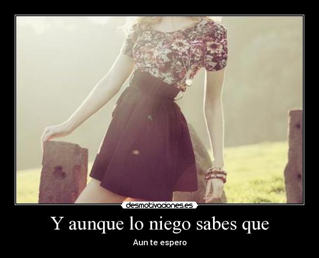 Y aunque lo niego sabes que -