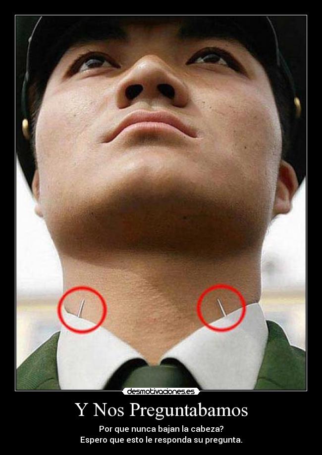 Y Nos Preguntabamos - Por que nunca bajan la cabeza?
Espero que esto le responda su pregunta.
