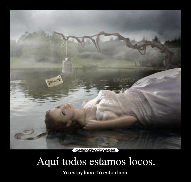 Aquí todos estamos locos. -