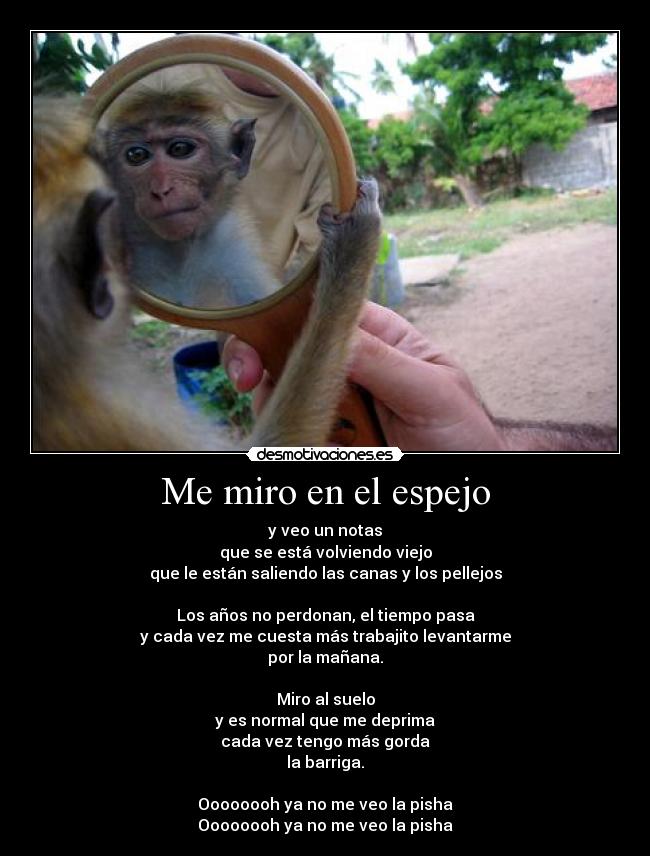 Me miro en el espejo - y veo un notas
que se está volviendo viejo
que le están saliendo las canas y los pellejos

Los años no perdonan, el tiempo pasa
y cada vez me cuesta más trabajito levantarme
por la mañana.

Miro al suelo
y es normal que me deprima
cada vez tengo más gorda
la barriga.

Oooooooh ya no me veo la pisha
Oooooooh ya no me veo la pisha