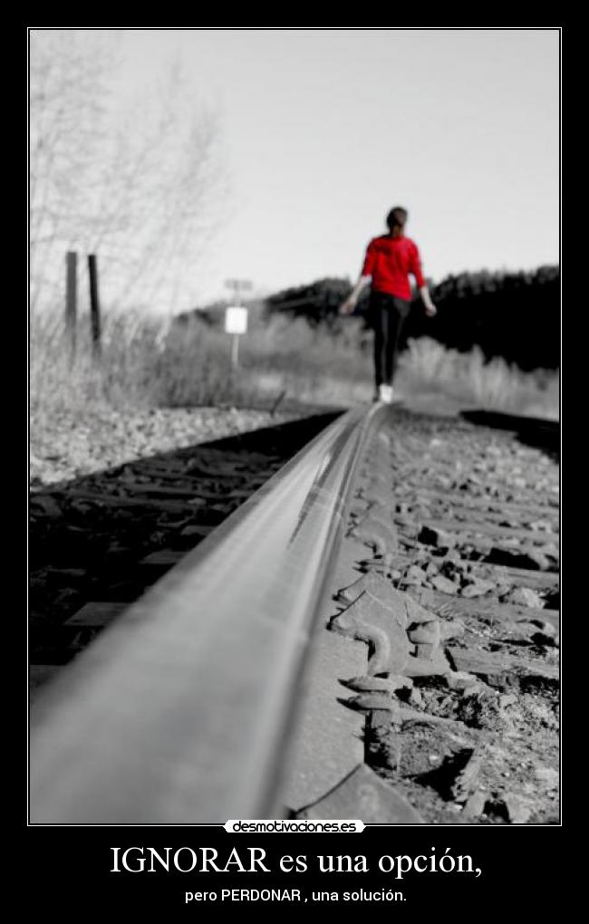 IGNORAR es una opción, - 