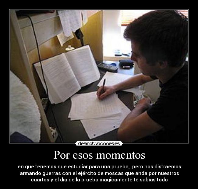 Por esos momentos - en que tenemos que estudiar para una prueba, pero nos distraemos
armando guerras con el ejército de moscas que anda por nuestros
cuartos y el día de la prueba mágicamente te sabías todo