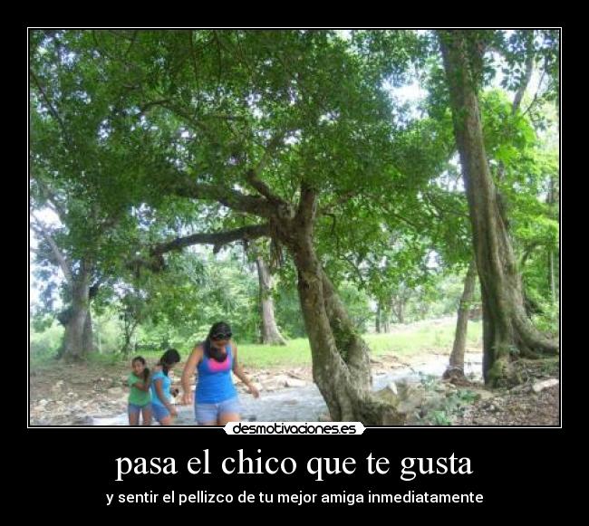 carteles sarahecc96 desmotivaciones