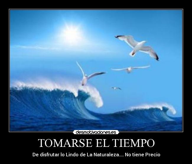 carteles tomarse tiempo desmotivaciones