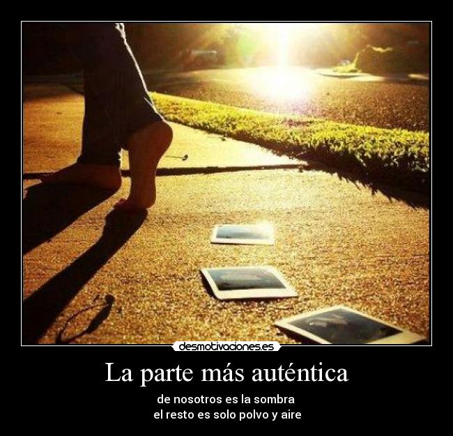 carteles sombra desmotivaciones