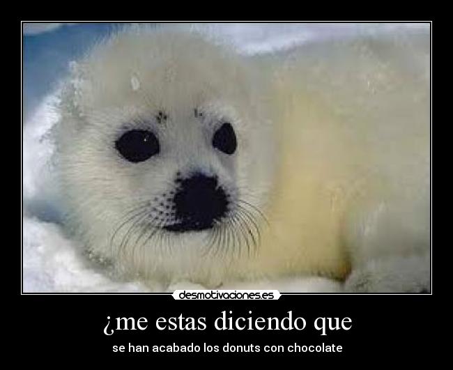 ¿me estas diciendo que - se han acabado los donuts con chocolate