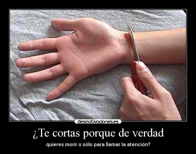 DOLOR SANGRE dolor sangre: