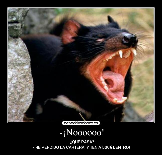 -¡Noooooo! - -¿QUÉ PASA?
-¡HE PERDIDO LA CARTERA, Y TENÍA 500€ DENTRO!