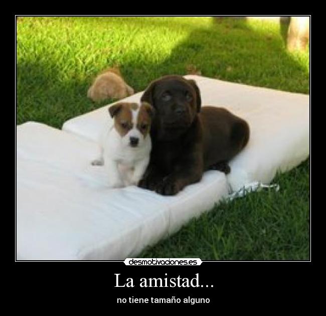 La amistad... - 