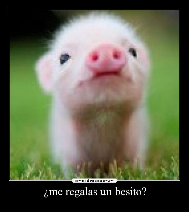 ¿me regalas un besito? -