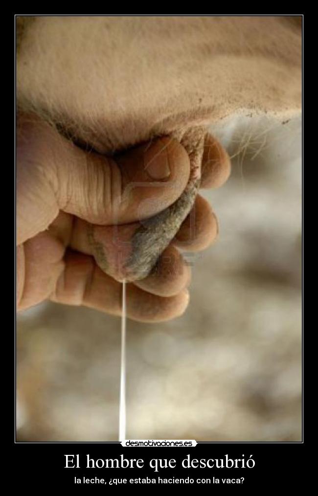 El hombre que descubrió - la leche, ¿que estaba haciendo con la vaca?