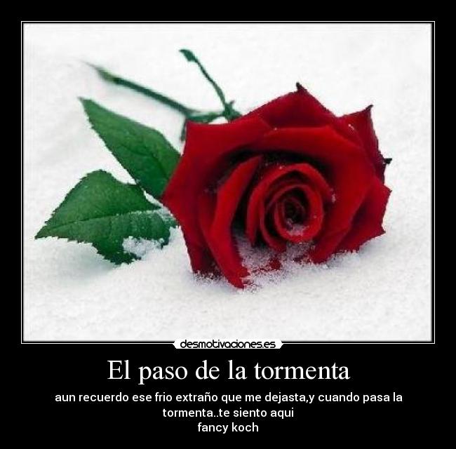 El paso de la tormenta - aun recuerdo ese frio extraño que me dejasta,y cuando pasa la tormenta..te siento aqui
fancy koch