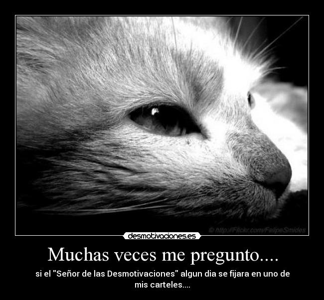 Muchas veces me pregunto.... - si el Señor de las Desmotivaciones algun dia se fijara en uno de mis carteles....