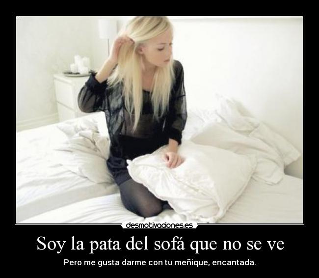 Soy la pata del sofá que no se ve -