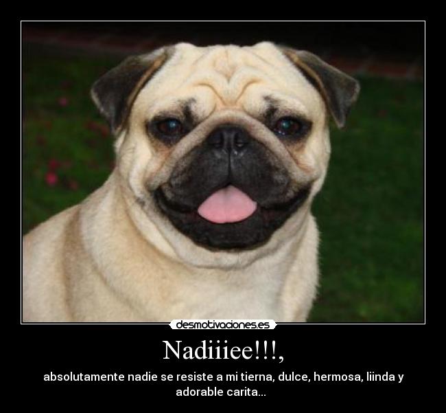 Nadiiiee!!!, - absolutamente nadie se resiste a mi tierna, dulce, hermosa, liinda y
adorable carita...♥♥♥