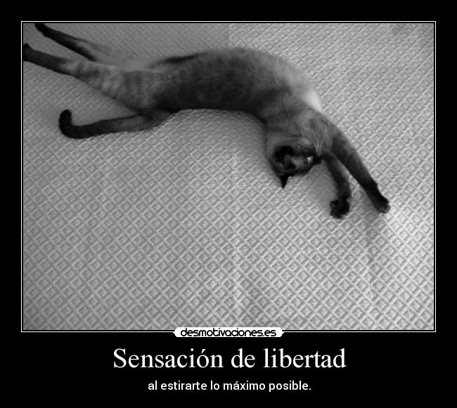 Sensación de libertad -