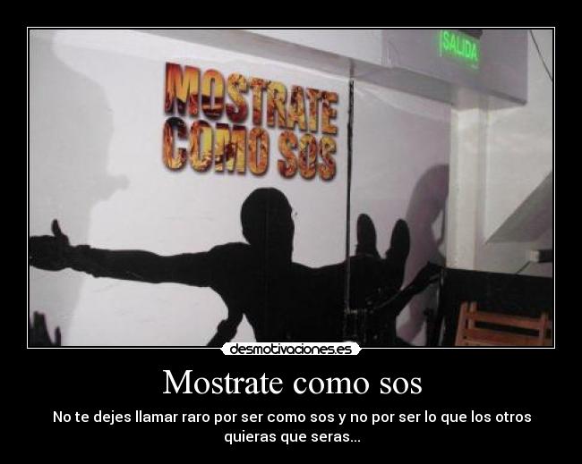 carteles como sos desmotivaciones