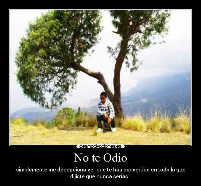 No te Odio -
