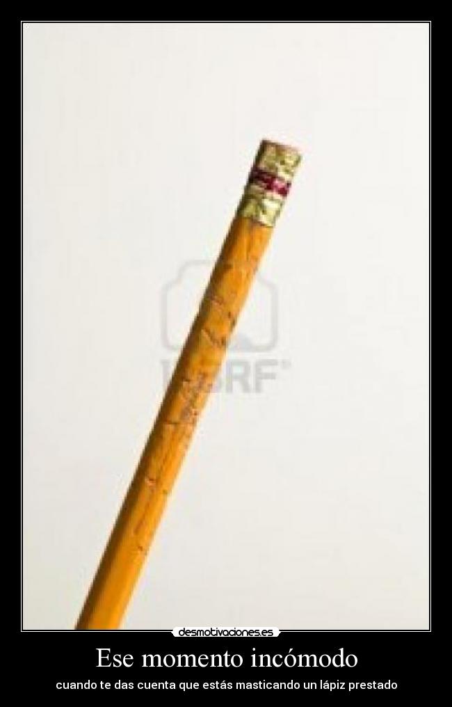 carteles sofia sanchezca desmotivaciones