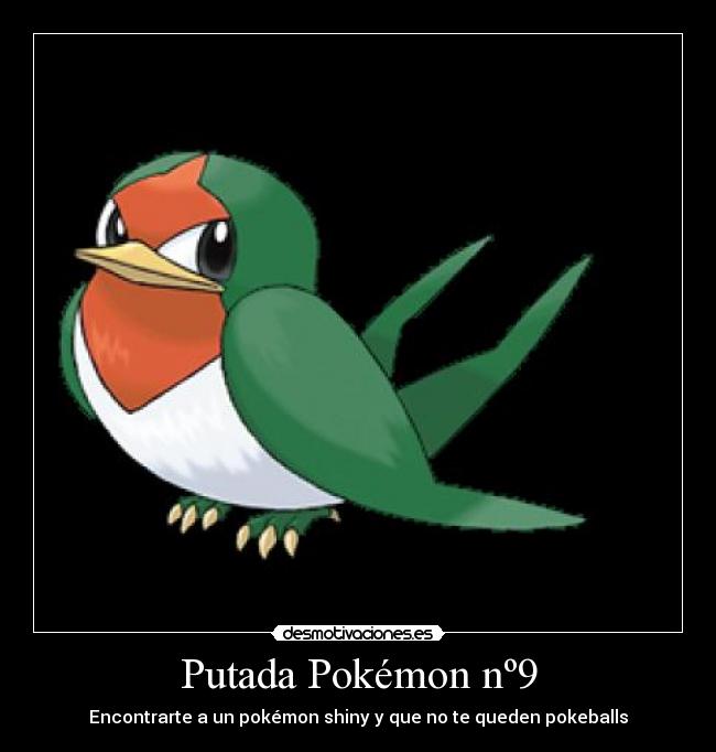 Putada Pokémon nº9 -