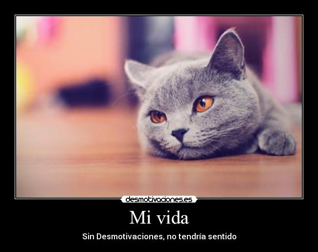 carteles vida neptun4 desmotivaciones