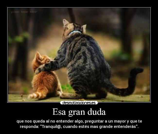 carteles desear ser grande para comprender desmotivaciones