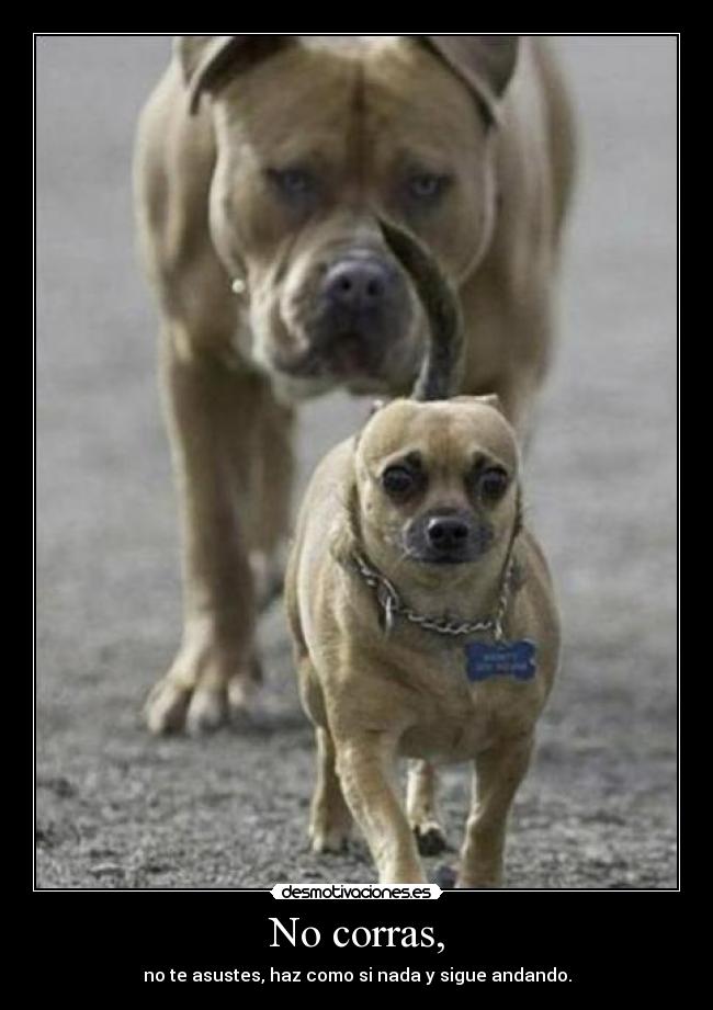 No corras, -