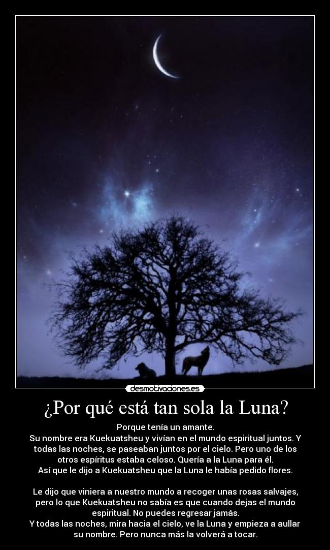 ¿Por qué está tan sola la Luna? - Porque tenía un amante.
Su nombre era Kuekuatsheu y vivían en el mundo espiritual juntos. Y
todas las noches, se paseaban juntos por el cielo. Pero uno de los
otros espíritus estaba celoso. Quería a la Luna para él.
Así que le dijo a Kuekuatsheu que la Luna le había pedido flores.

Le dijo que viniera a nuestro mundo a recoger unas rosas salvajes,
pero lo que Kuekuatsheu no sabía es que cuando dejas el mundo
espiritual. No puedes regresar jamás.
Y todas las noches, mira hacia el cielo, ve la Luna y empieza a aullar
su nombre. Pero nunca más la volverá a tocar.